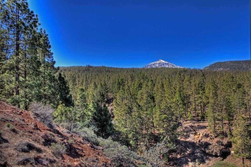 Tenerife Mount Teide