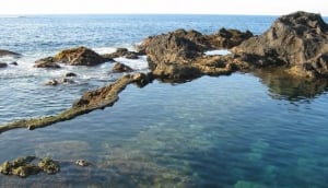 Take to the rock pools