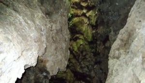 Cueva del Viento, Tenerife