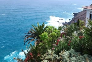 1-2 hour walking route through Puerto de la Cruz, Tenerife