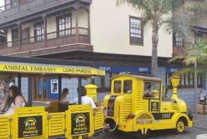 Percurso a pé de 1h30min por Puerto de la Cruz, Tenerife