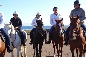 テネリフェ島南部で1時間の乗馬体験をお楽しみください