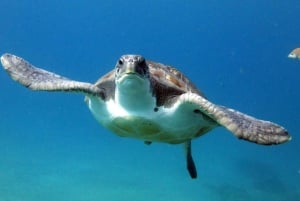 2-Dive Guided Scuba Diving For Qualified Divers