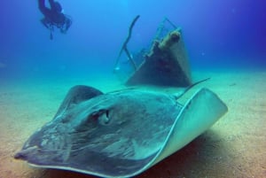 2-Dive Guided Scuba Diving For Qualified Divers