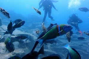 2-Dive Guided Scuba Diving For Qualified Divers