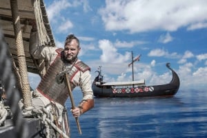  3-Hour Viking Ship Cruise with Lunch