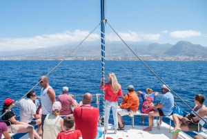  3-Hour Whale Watching Tour with Snorkeling
