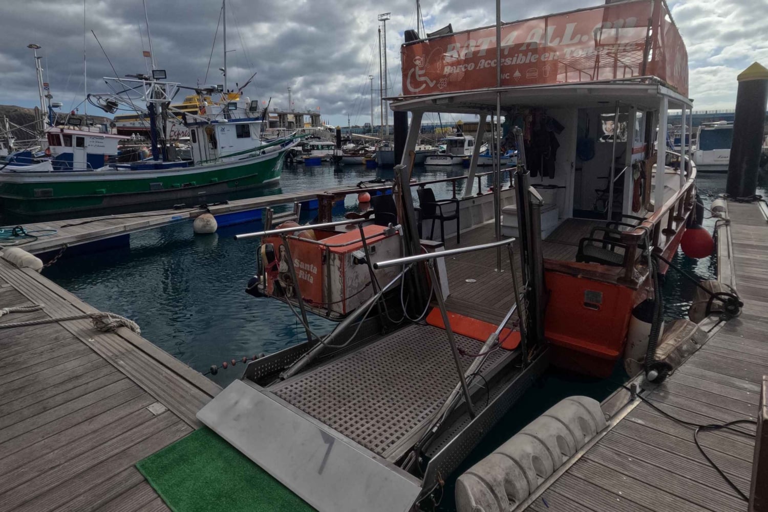 3 timers fælles barrierefrit krydstogt med skildpadder, delfiner og hvaler