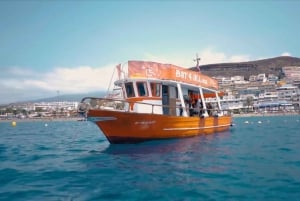 3H Gemeinsame barrierefreie Kreuzfahrt mit Schildkröten, Delfinen und Walen