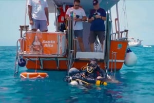 3H Gemeinsame barrierefreie Kreuzfahrt mit Schildkröten, Delfinen und Walen