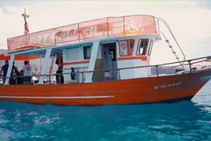 3H Gemeinsame barrierefreie Kreuzfahrt mit Schildkröten, Delfinen und Walen