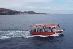 3H Gemeinsame barrierefreie Kreuzfahrt mit Schildkröten, Delfinen und Walen