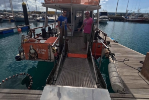 3 timers fælles barrierefrit krydstogt med skildpadder, delfiner og hvaler