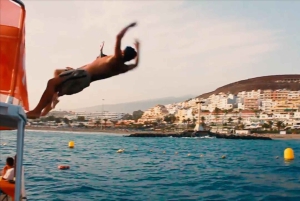 3 timers fælles barrierefrit krydstogt med skildpadder, delfiner og hvaler