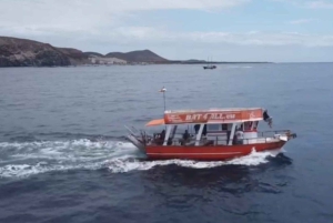 3 timers fælles barrierefrit krydstogt med skildpadder, delfiner og hvaler