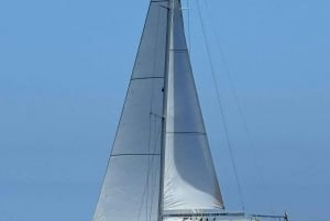 3h Whale Watching Private tour Beneteau Oceanis 440