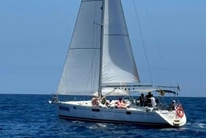 3h Whale Watching Private tour Beneteau Oceanis 440