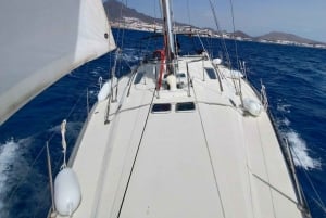 3h Whale Watching Private tour Beneteau Oceanis 440