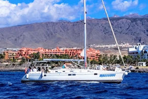 3h Whale Watching Private tour Beneteau Oceanis 440