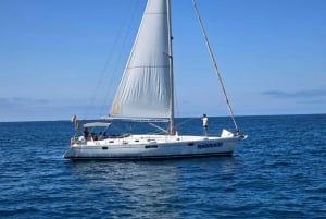 3h Whale Watching Private tour Beneteau Oceanis 440