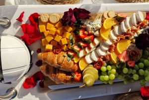 3h Whale Watching Private tour Beneteau Oceanis 440