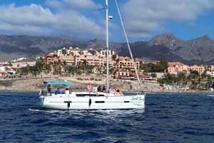 3h Whale Watching Private Tour Costa Adeje Lina7 Mizendoha