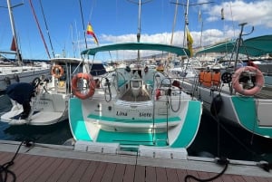 3h Whale Watching Private Tour Costa Adeje Lina7 Mizendoha