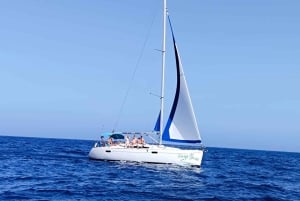 3h Whale Watching Private Tour Costa Adeje Lina7 Mizendoha