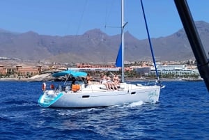 3h Whale Watching Private Tour Costa Adeje Lina7 Mizendoha
