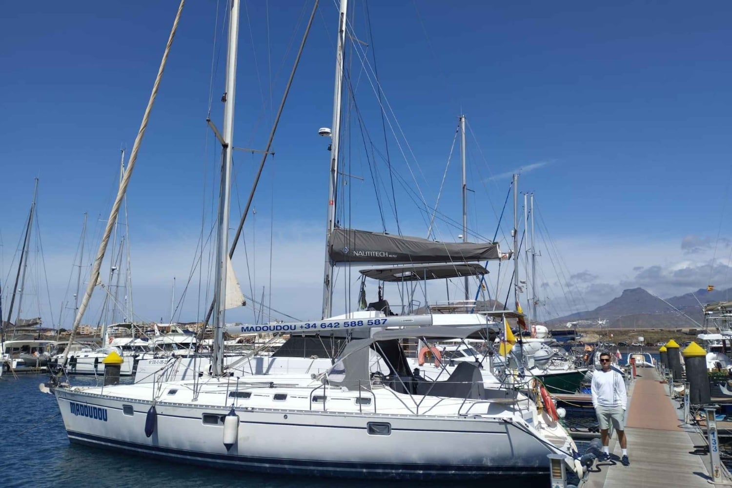 3h Whale Watching Share Tour Beneteau Oceanis 440