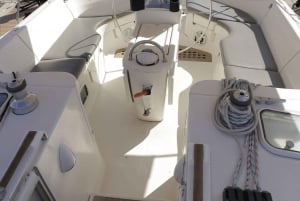 3h Whale Watching Share Tour Beneteau Oceanis 440