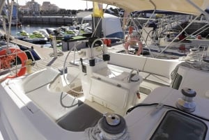 3h Whale Watching Share Tour Beneteau Oceanis 440