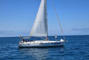 3h Whale Watching Share Tour Beneteau Oceanis 440