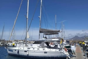 3h Whale Watching Share Tour Beneteau Oceanis 440