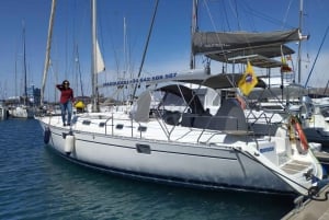 3h Whale Watching Share Tour Beneteau Oceanis 440