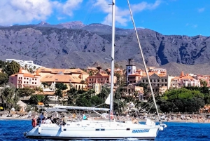 3h Whale Watching Share Tour Beneteau Oceanis 440