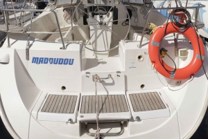 3h Whale Watching Share Tour Beneteau Oceanis 440