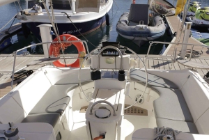 3h Whale Watching Share Tour Beneteau Oceanis 440