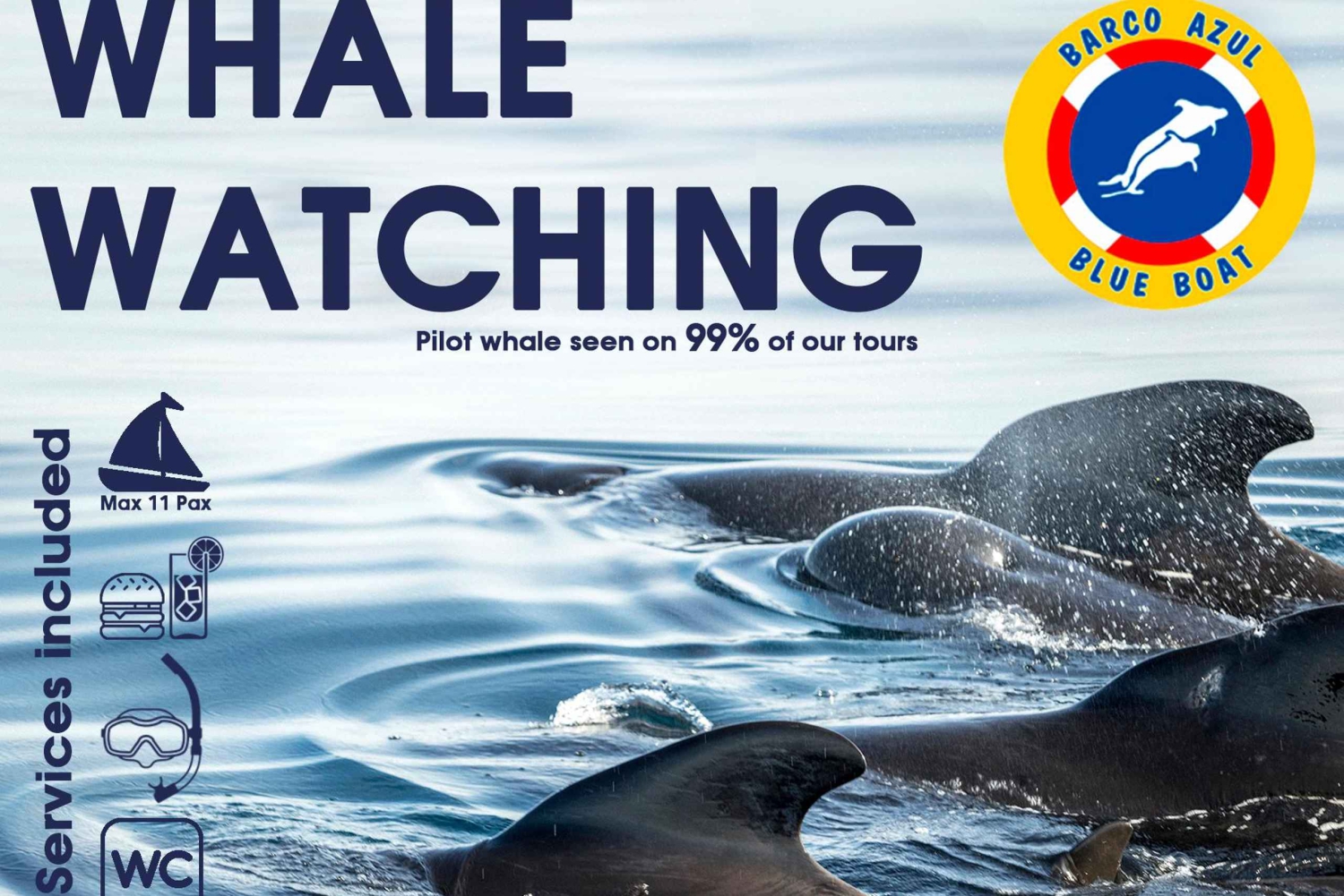 3h Whale watching Share Tour Costa Adeje Lina7 Mizendoha