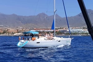 3h Whale watching Share Tour Costa Adeje Lina7 Mizendoha