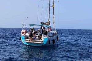 3h Whale watching Share Tour Costa Adeje Lina7 Mizendoha