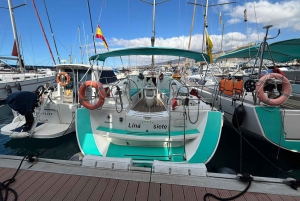 3h Whale watching Share Tour Costa Adeje Lina7 Mizendoha