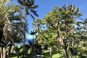 5 Day Wellness & Relaxation Break in Northern Tenerife