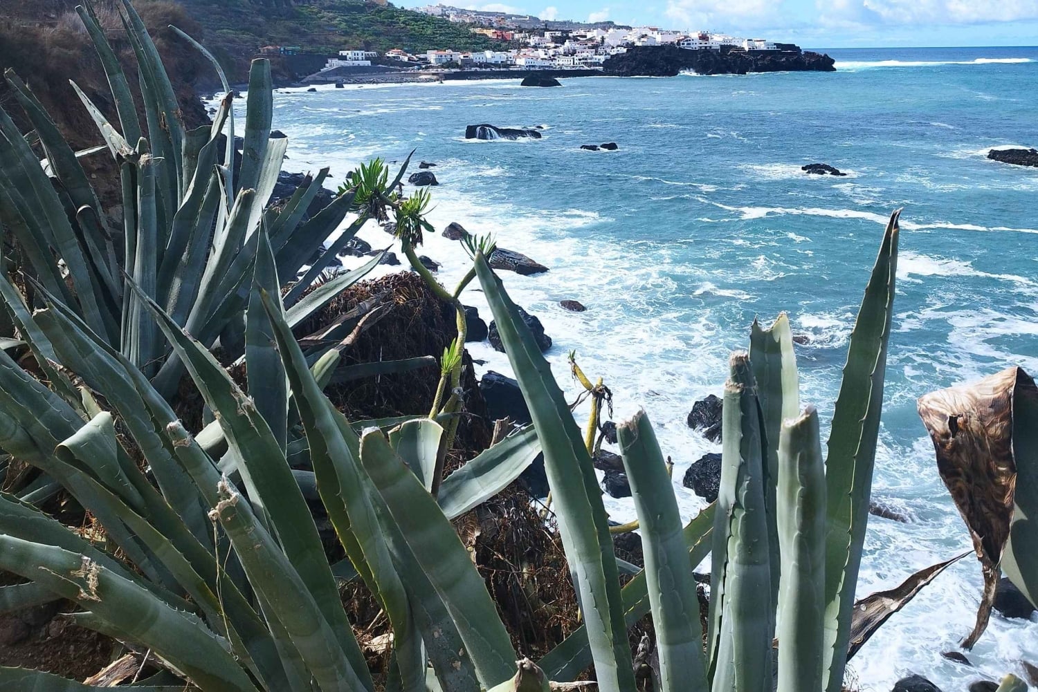 Itinéraire pédestre de 90 minutes avec vue sur le ravin de Ruiz, Tenerife