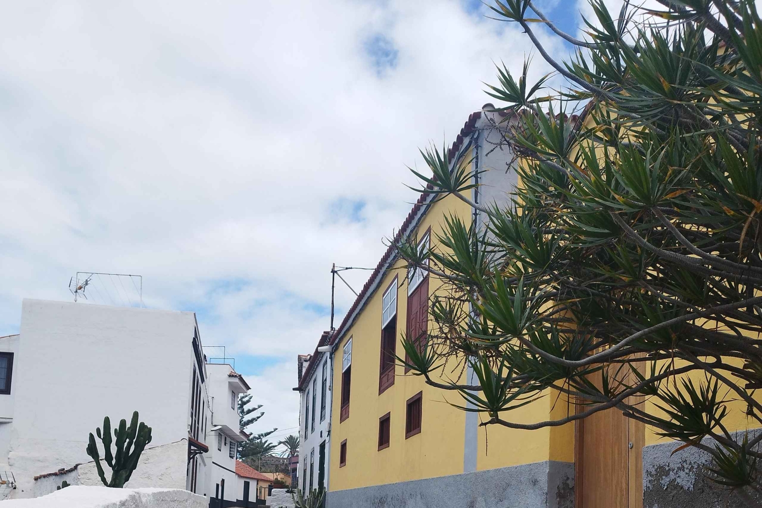 Itinéraire pédestre de 90 minutes avec vue sur le ravin de Ruiz, Tenerife