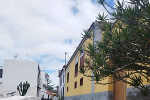 Itinéraire pédestre de 90 minutes avec vue sur le ravin de Ruiz, Tenerife