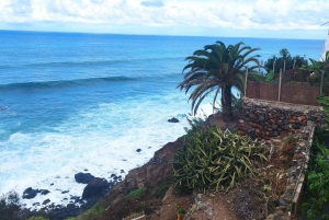 Itinéraire pédestre de 90 minutes avec vue sur le ravin de Ruiz, Tenerife