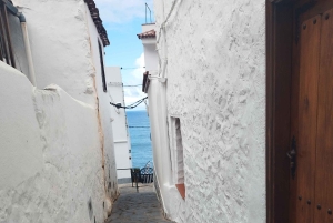 Itinéraire pédestre de 90 minutes avec vue sur le ravin de Ruiz, Tenerife