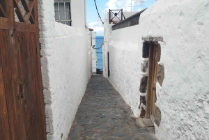 Itinéraire pédestre de 90 minutes avec vue sur le ravin de Ruiz, Tenerife