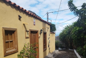 Itinéraire pédestre de 90 minutes avec vue sur le ravin de Ruiz, Tenerife